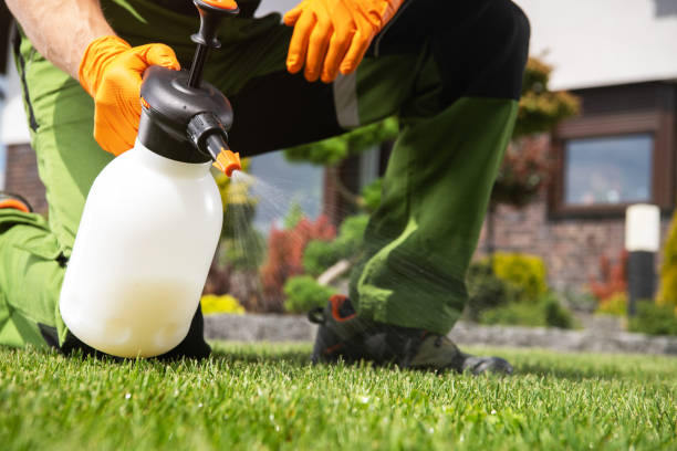 Best Pest Prevention Services  in Arlington, NE