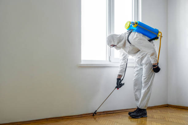 Best Commercial Pest Control Services  in Arlington, NE